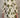 08c0fa21-d193-4f66-b393-982f17325820-Max-Origin