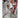 Ensemble Blazer Fluide et Jogger Chic | Femme