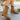 1fbb3098b2634604b857993fca53dfc5-Max-Origin