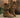 37d2e854a92d4bf79b2bc3c044678fe5-Max-Origin