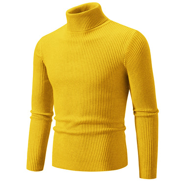 Oliver™ - Pull col roulé slim