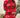 Ambre™ - Robe pull de Noël pour femme - Tricot à manches longues