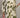 889426ee-2905-4c02-9726-cffd34e1648c-Max-Origin