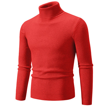 Oliver™ - Pull col roulé slim