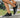 Lora | Chaussures Barefoot Unisexes en Maille Respirante