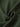 a478507e791e4c46b1ac427893b987f9-Max-Origin