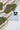 afcdc42f-f5d0-4e4e-b687-9a5703e43d7a-Max-Origin